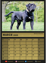 Load image into Gallery viewer, 2025 Noxterra Calender