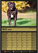 Load image into Gallery viewer, 2025 Noxterra Calender