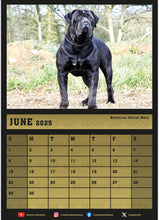 Load image into Gallery viewer, 2025 Noxterra Calender
