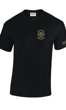 Load image into Gallery viewer, 2nd Edition Noxterra short sleeve t-shirt - Black Tee - Gold Logo and Text