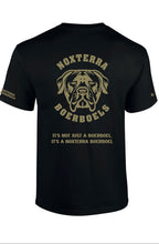 Load image into Gallery viewer, 2nd Edition Noxterra short sleeve t-shirt - Black Tee - Gold Logo and Text