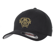 Load image into Gallery viewer, 'NOXTERRA' embroidered baseball cap.